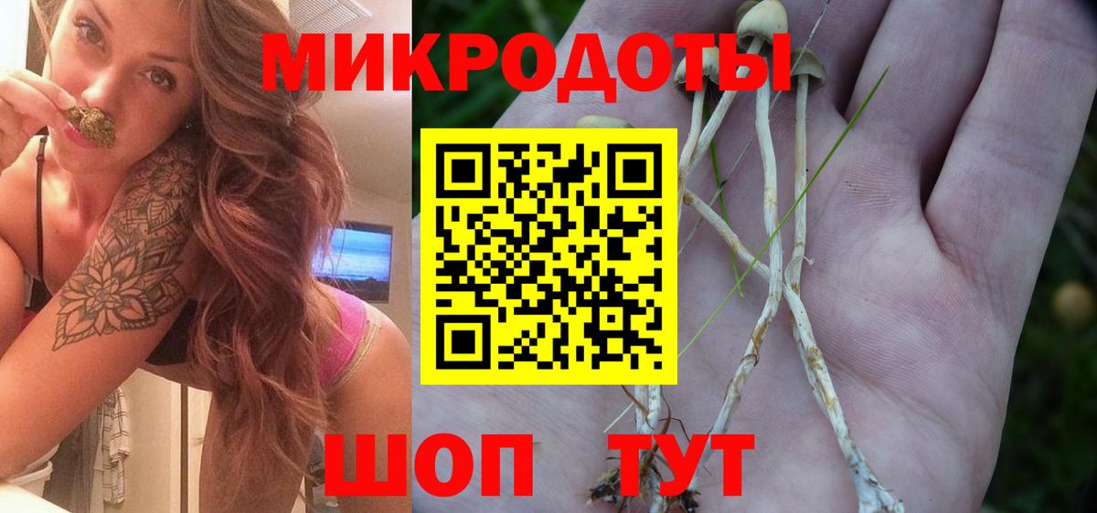 Псилоцибиновые грибы Cubensis  Вход с VPN  Холмск 